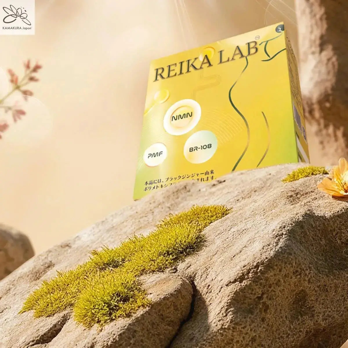 REIKA LAB Weight Balance Support – Black Ginger Extract Sachets (2 Sticks Daily) | Made in Japan - TokyoSupplements.com.au